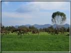 foto Paesaggi alle Pendici del Monte Grappa